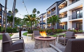 Courtyard St. Petersburg Clearwater